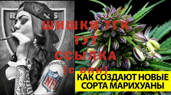 герыч Пестово