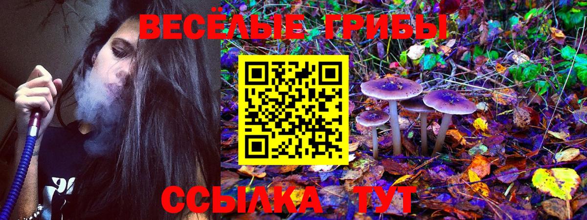 Баксан  где найти   Вход с VPN  Галлюциногенные грибы Magic Shrooms 