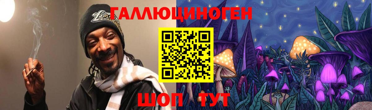 Псилоцибиновые грибы прущие грибы  Баксан 